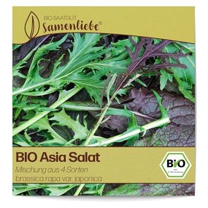 BIO Asia Salat ganzjährig & winterhart