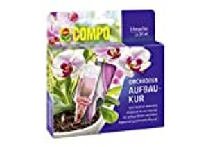 Compo Orchideen-Aufbaukur für alle Orchideen-Arten, 4 Wochen Langzeitwirkung, 5 Ampullen je 30 ml