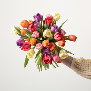 Bunte Tulpen Flower Bomb - 30 Stiele