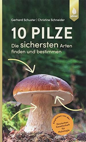 10 Pilze: Die sichersten Arten finden und bestimmen