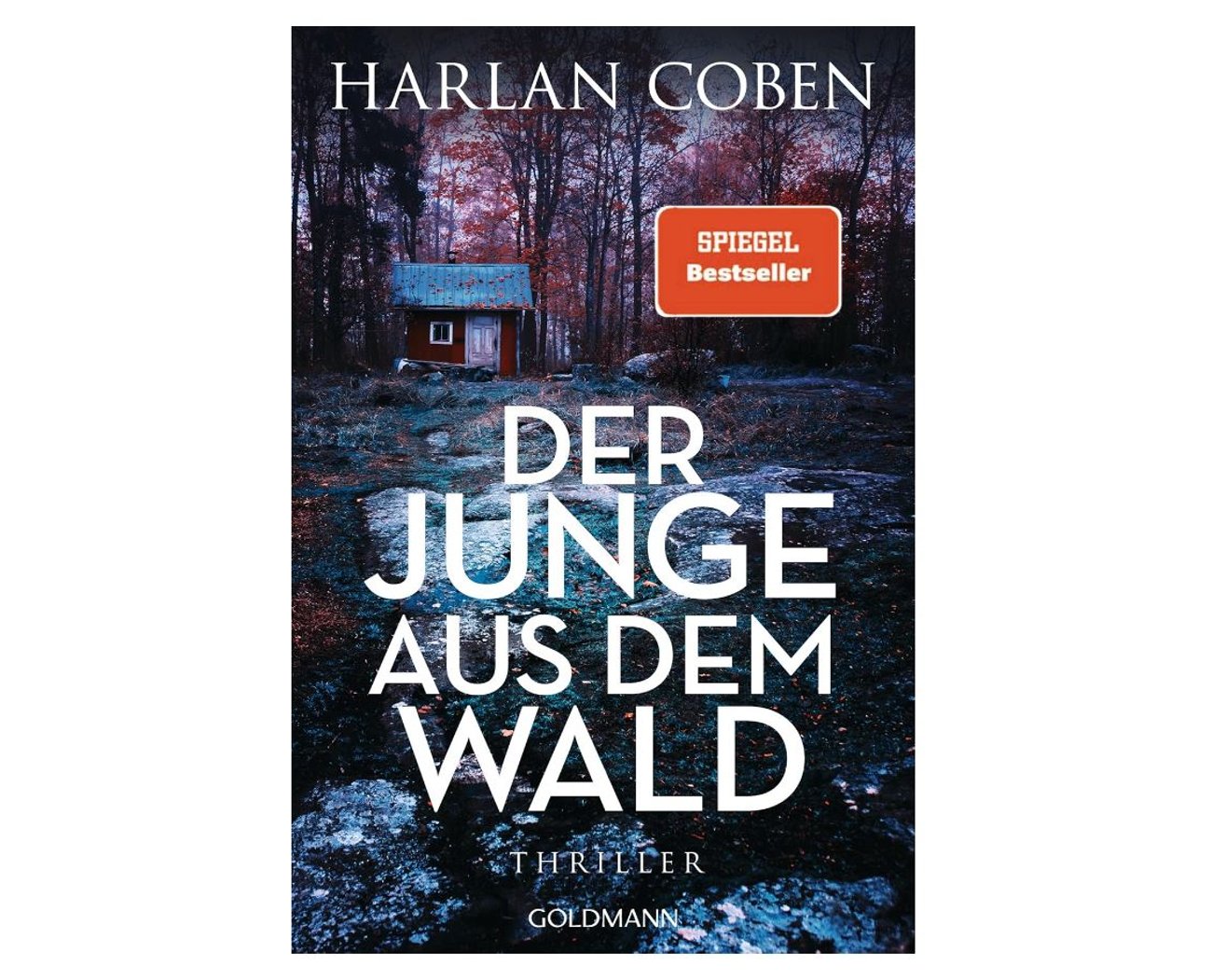 Harlan Coben: Der Junge aus dem Wald