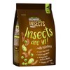 Greenwoods Insects Insects are in!
