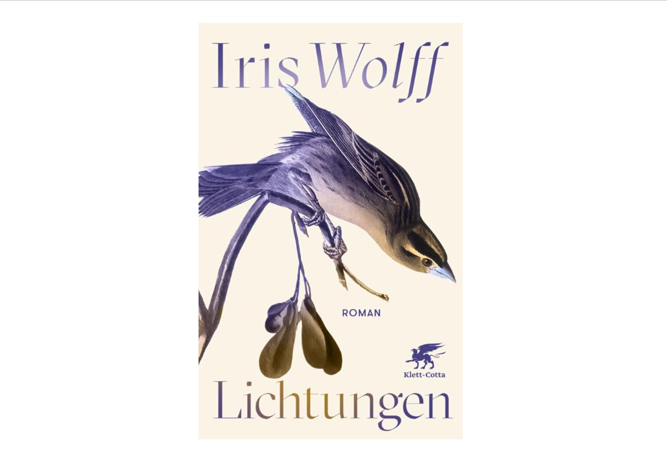 Iris Wolff: Lichtungen