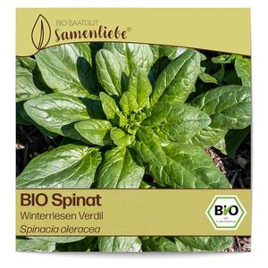 Samenliebe – Bio Spinat Samen Winterriesen