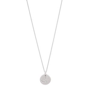 Jewelry Halskette mit Sternzeichen und Kristall (Versilbert - Steinbock Sternzeichen)