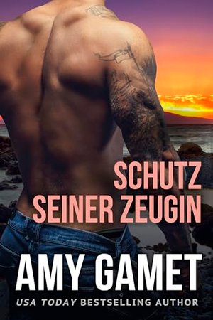 Schutz seiner Zeugin (Die gebrochenen SEALs 1)
