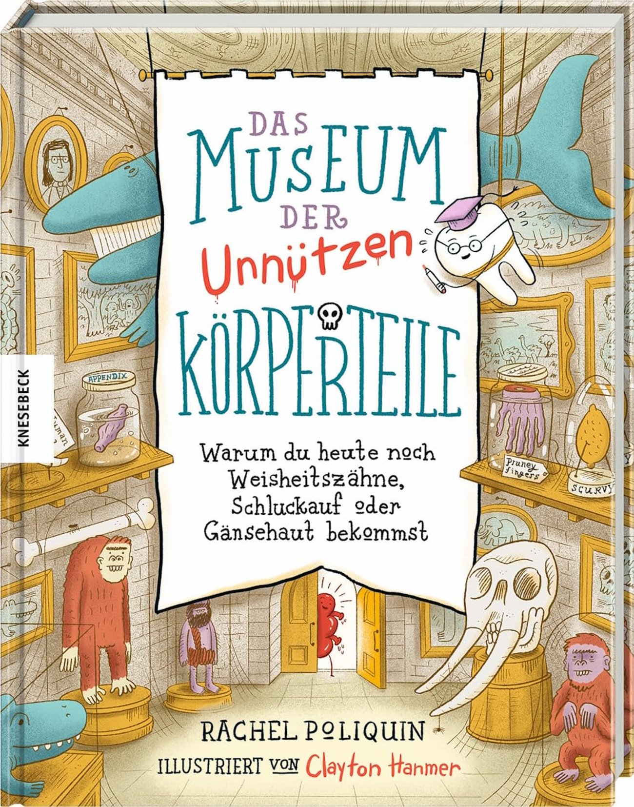 Das Museum der unnützen Körperteile: Warum du heute noch Weisheitszähne, Schluckauf oder Gänsehaut b