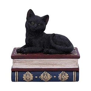 Black Cat and Spellbook Box, Harz, Schwarz, 11.7cm