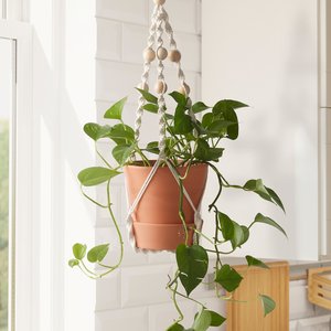 ANVÄNDBAR – Blumenampel