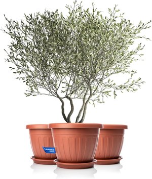 BigDean 3X Blumentopf mit Untersetzer rund
