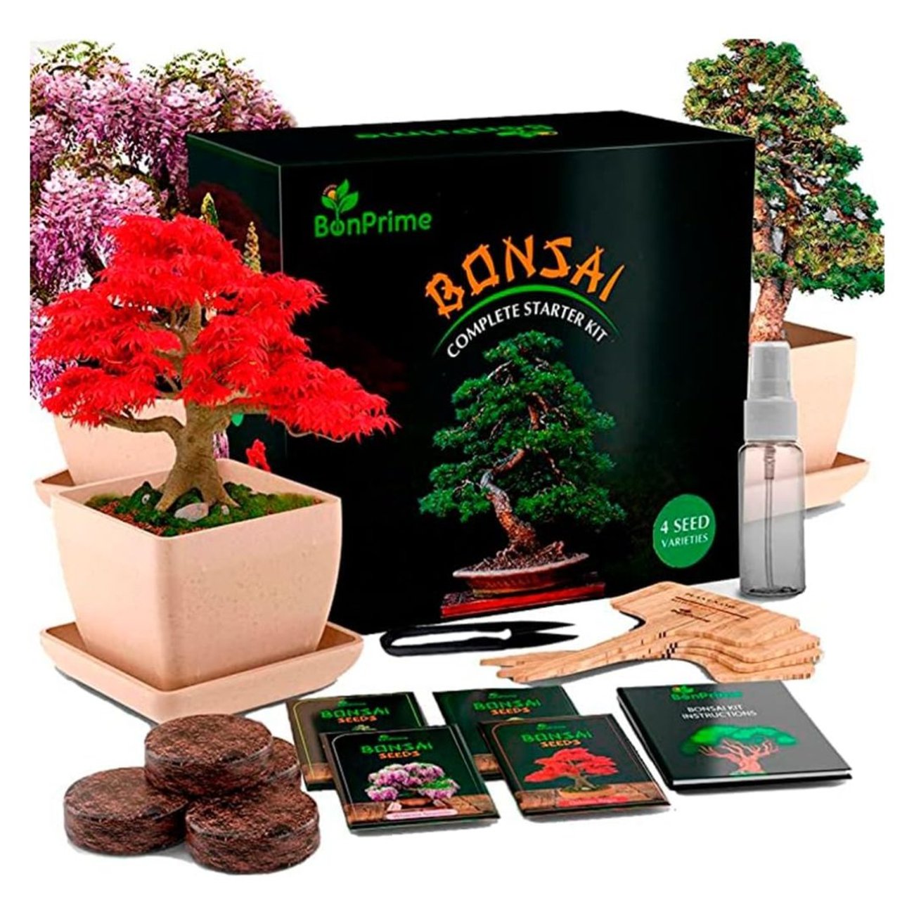 Bonsai Starter Kit
