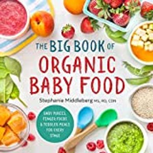 The Big Book of Organic Baby Food