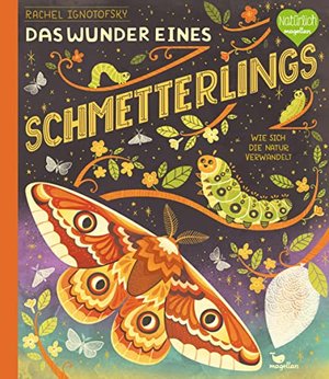 Das Wunder eines Schmetterlings - ein Sachbilderbuch für Kinder ab 6