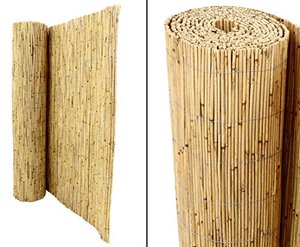 bambus-discount.com Schilfrohrmatte 120 x 600cm