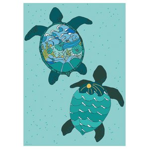 BILD Bild - Schildkröten 50x70 cm