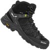 Salewa: Alp Trainer 2 Mid GTX