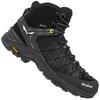 Salewa: Alp Trainer 2 Mid GTX