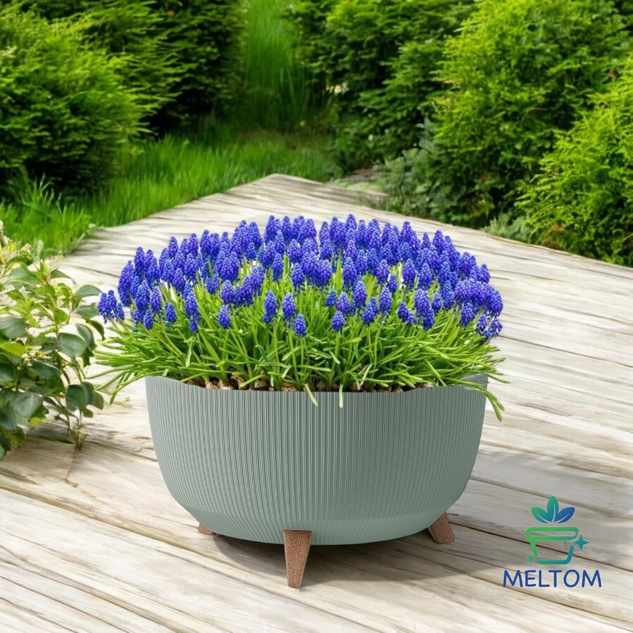 Blumentopf-Schale mit Füßen