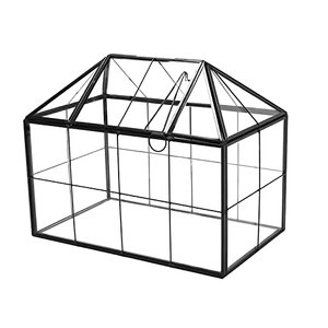 Mini Terrarium aus Glas, Gewächshaus