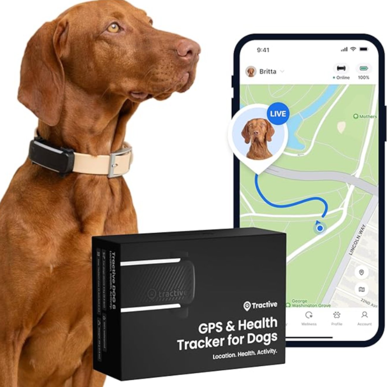 Tractive GPS Tracker Hund | 2025 Edition | Live-Ortung | Weglaufalarm | Aktivitätstracking | Gesundh