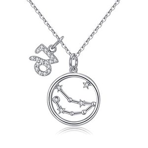 Sternzeichen Anhänger Halskette 925 Sterling Silber Steinbock