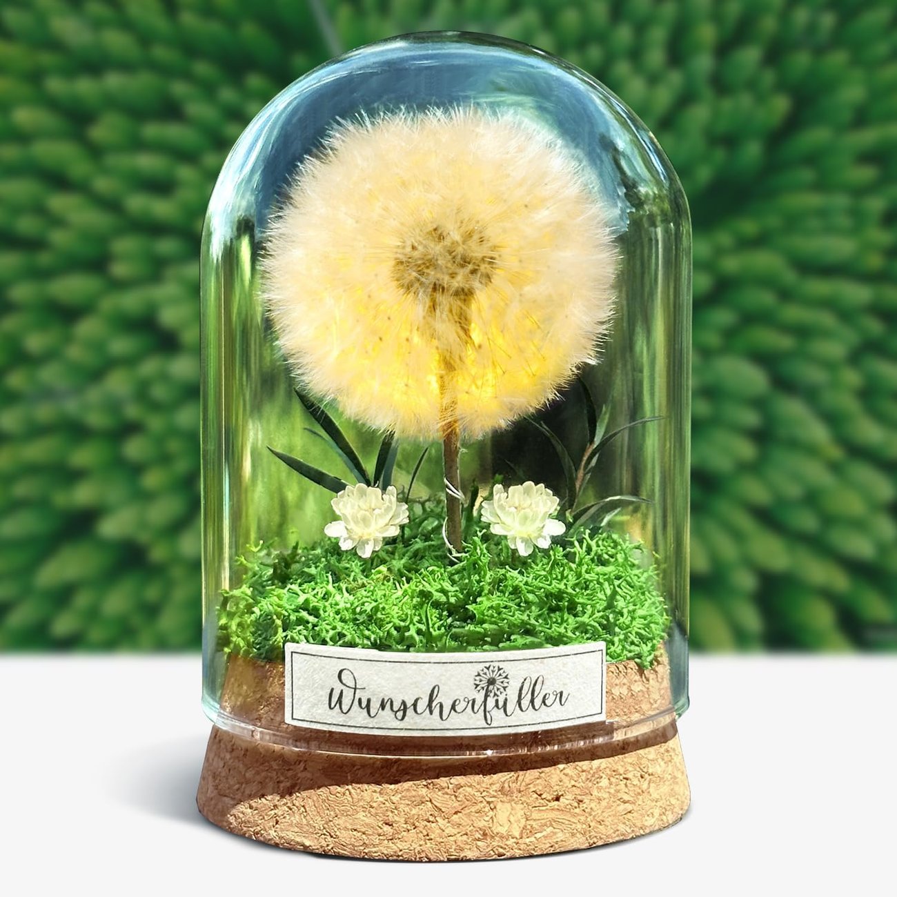 Wunscherfüller mit echter Pusteblume