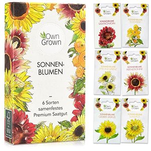 Sonnenblumen Saatgut mit 6 Sorten