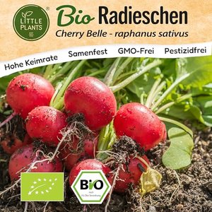 Little Plants – Bio Radieschen Samen Cherry Belle
