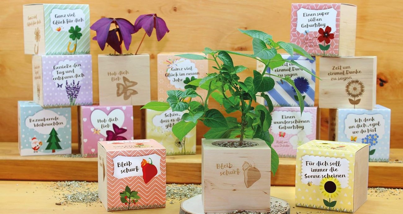 Feel Green 296688 Celebrations Ecocube