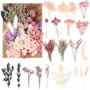 Natürliche getrocknte Blumen