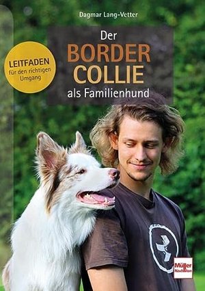 Der Border Collie als Familienhund: Leitfaden für den richtigen Umgang