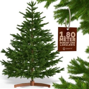 CASARIA Weihnachtsbaum Premium künstlich XL 180x110cm Christbaumständer