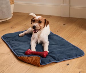 Hunde-Kuscheldecke