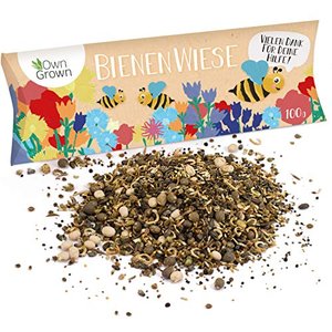 Bienenwiese Blumenmischung: 100g Premium Bienen Saatgut für bunte Bienenweide