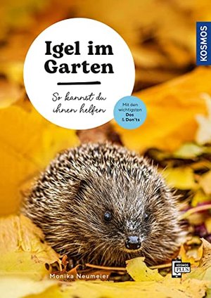 Igel im Garten: So kannst du ihnen helfen