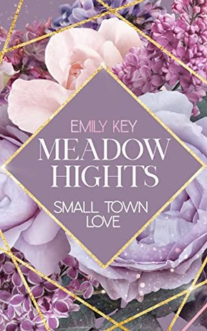 Meadow Hights: Small Town Love - An Enemies to Lovers Story (New York Gentlemen 6)