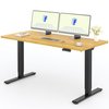 FLEXISPOT e7