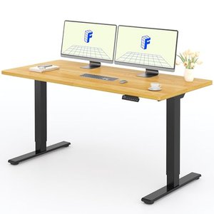 FLEXISPOT e7