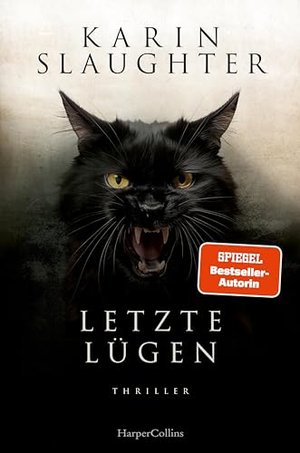 Letzte Lügen: Thriller