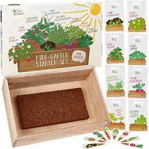 Saatgut Anzuchtset mit Holzkiste und 8 Sorten Pflanzen
