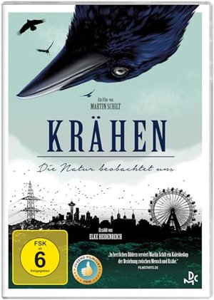 Krähen – Die Natur beobachtet uns