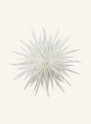 house doctor Dekoanhänger HDDUST Durchmesser: 40 cm