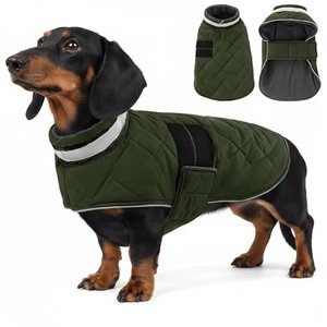 ASENKU Hundemantel für Kleine Hunde S, Hundemantel Winter Wasserdicht Winddicht,Fleece Reflektierend