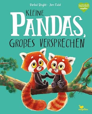 Kleine Pandas, großes Versprechen