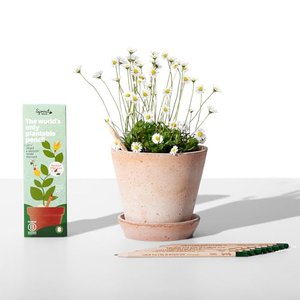SproutWorld Pencils | Spread the Love Edition |