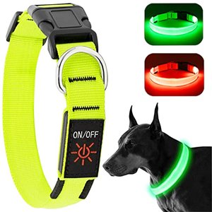 LED-Hundehalsband