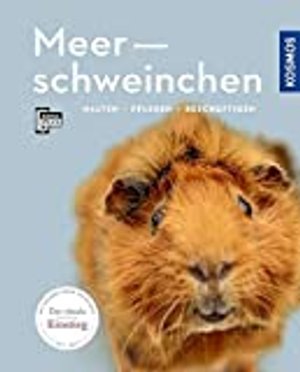 Meerschweinchen: halten, pflegen, beschäftigen (Mein Tier)