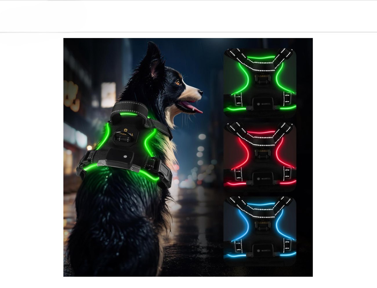 Leuchtendes Hundegeschirr