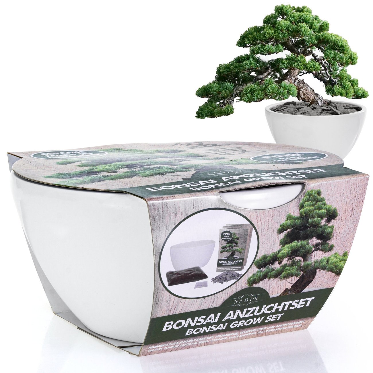 Bonsai Starter Kit Anzuchtset