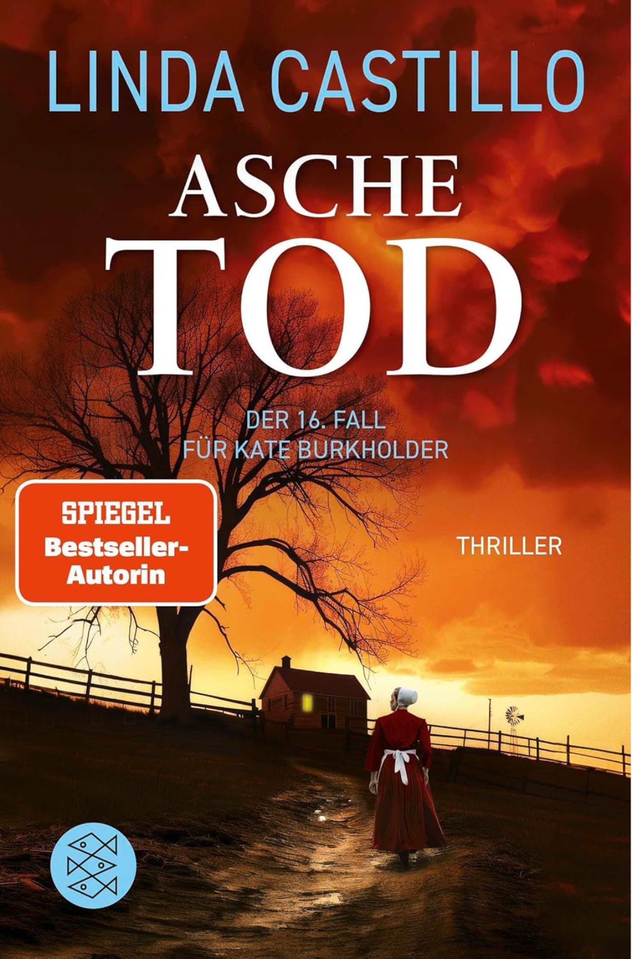 Aschetod: Thriller